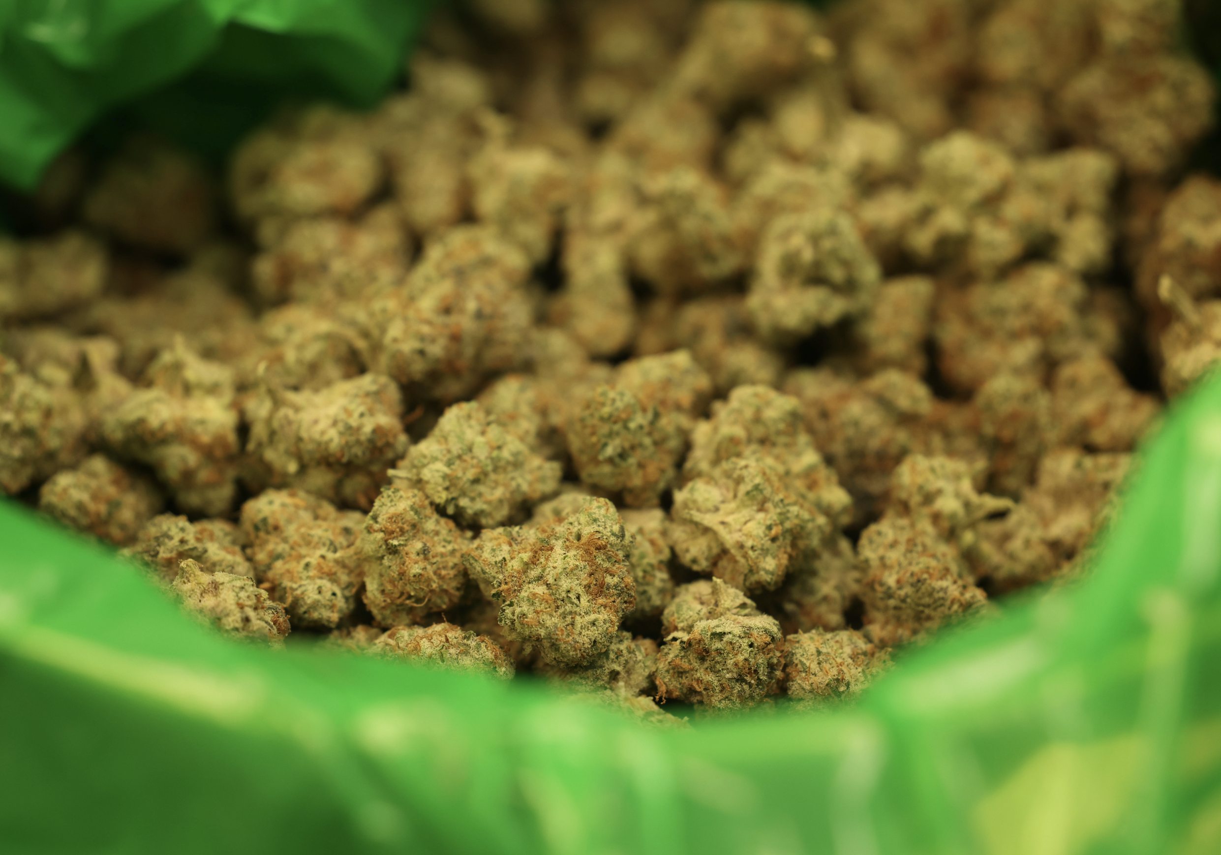 Hand-Trimmed Flower: 4 Proven Benefits (Why Sunburn Hand Trims)